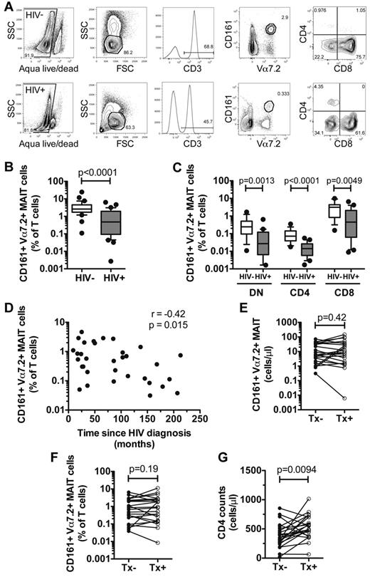Figure 1. MAIT cells are depleted in the peripheral blood of chronically HIV-infected patients. (A) Identification of peripheral blood MAIT cells in uninfected and HIV-infected individuals. The frequency of total MAIT cells (B), and DN, CD4, and CD8 subsets (C) was determined in 34 HIV-1–uninfected individuals and 33 patients with chronic untreated HIV-infection. (D) The relationship between MAIT-cell frequency and time since HIV diagnosis was assessed using Spearman rank correlation. The numbers (E) and frequency (F) of MAIT cells, and CD4 T-cell counts (G) were compared in 22 HIV-infected patients before and after commencing cART. Box and whisker plots show median, IQR and the 10th to 90th percentile. Tx indicates therapy.