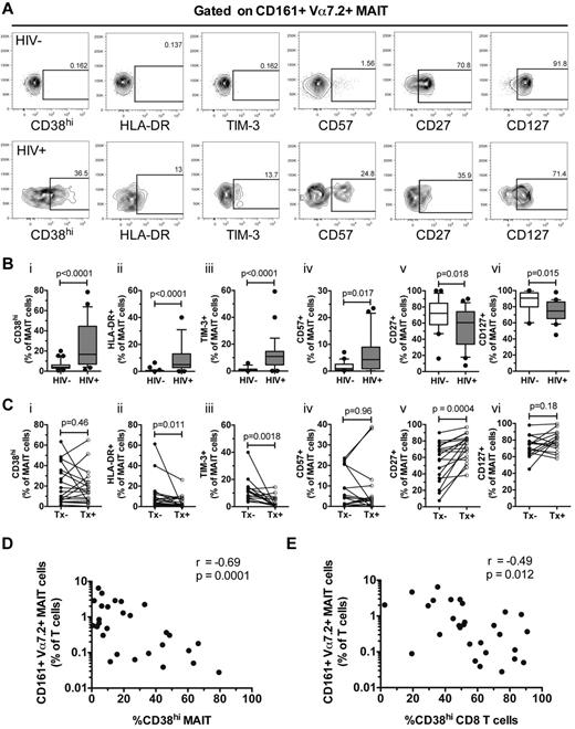 Figure 3. MAIT cells express activation phenotypes in chronically HIV-infected patients. (A) The gating strategy for CD38hi, HLA-DR, TIM-3, CD27, CD57, and CD127 expression on MAIT cells in HIV-1–uninfected and HIV-infected individuals. The expression of these markers was determined in 33 uninfected and 29 untreated HIV-infected individuals (B), and in 20 HIV-infected individuals before and after commencing cART (C). Spearman rank correlation between CD38hi-expressing MAIT cells (D) and total CD8 T cells (E) with the frequency of MAIT cells in the peripheral blood of 29 untreated HIV-infected individuals. Box and whisker plots show median, IQR and the 10th and 90th percentile. Tx indicates therapy.
