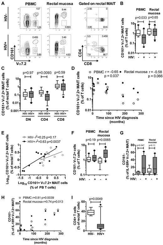 Figure 6. MAIT cells and CD161− Vα7.2+ T cells in rectal mucosa of uninfected and HIV-infected individuals. Identification, frequency, and distribution of CD4 and CD8 subsets of rectal MAIT cells in 9 HIV-1–uninfected and 11 HIV-infected individuals (A-C). Spearman correlation between peripheral blood and rectal MAIT cells with time since HIV diagnosis (D), and a simple linear regression analysis of the relationship between frequency of blood MAIT cells and rectal MAIT cells (both are log10-transformed) in uninfected and infected individuals (E). The frequency of CD161− Vα7.2+ T cells (F) and IL-18R+ Vα7.2+ MAIT cells that did not express CD161 (G) in blood and rectal mucosa of HIV-1 infected and uninfected individuals. (H) Spearman correlation between the proportion of IL-18R+ Vα7.2+ MAIT cells that did not express CD161 and time since HIV diagnosis. (I) Frequency of CD4 T cells in the rectal mucosa. Open circles represent peripheral blood and closed circles represent rectal mucosa. Box and whisker plots show median, IQR and the 10th to 90th percentile.