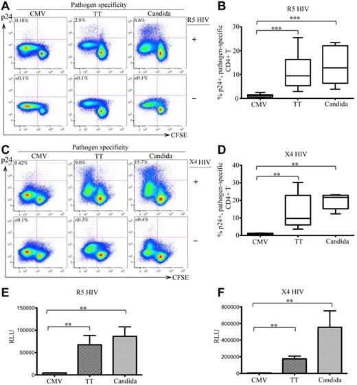 Figure 1. In vitro HIV infection of pathogen-specific CD4 T cells in PBMCs. (A,C) Representative flow cytometric plots are shown for intracellular p24 expression in CFSElow population of CD3+CD4 T cells in antigen-stimulated PBMCs with (top) or without (bottom) infection by R5-HIV (A) or X4-HIV (C). Only live CD14-19−CD3+CD8− T cells were gated for analysis. The data are expressed as a proportion of intracellular p24+ cells in the CFSElow population. (B,D) Comparison of the proportion of p24+CFSElow cells between CMV-, TT-, and C albicans–specific CD4 T cells from multiple subjects are shown as a box and Whisker plots in B (R5 HIV) and D (X4 HIV). (E-F) Relative quantification of infectious R5 HIV (E) or X4 HIV (F) viruses produced by pathogen-specific CD4 T cells in supernatants. Quantification was based on infection of TZM-bl cells and the data are expressed as relative light units (RLU). A total of 6 donors and at least 6 independent experiments were performed. Statistical analysis was performed using the Mann-Whitney test. *** P < .005; **P < .01; *P < .05.