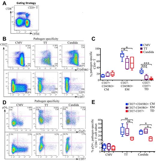 Figure 2. Differentiation phenotype of pathogen-specific CD4 T cells and the associated HIV infection. (A) CFSElowCD3+CD8− T cells in antigen-stimulated PBMCs were gated for analysis. (B-C) Representative flow cytometric plots (B) and statistical comparison (C), shown as box and Whisker plots, for the frequencies of CM (CD27+CD45RO+), EM (CD27−CD45RO+), and terminally differentiated (TD: CD27−CD57+) subsets between pathogen-specific CD4 T-cell populations. (D-E) Representative flow cytometric plots (D) and statistical comparison (E), shown as box and Whisker plots, for HIV infection of different differentiation subsets between pathogen-specific CD4 T-cell populations. The HIV infection rate is expressed as the proportion of each subset expressing p24. For panels D and E, only the CFSElow CD3+CD8−CD45RO+ memory population was gated for analysis. A total of 6 donors and at least 6 independent experiments were performed. Statistical analysis was performed using the Mann-Whitney test. ***P < .005; **P < .01; *P < .05.