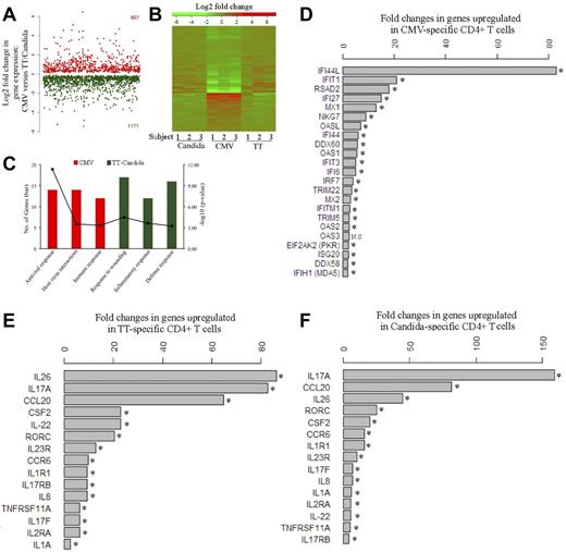 Figure 5. Transcriptomic analysis of pathogen-specific CD4 T cells. (A) Global view of the fold changes in gene expression for genes that were significantly (FDR q-value < 0.05) up-regulated in CMV-specific CD4 T cells (667, red) or in TT- and C albicans–specific CD4 T cells (1171, green). (B) Heat map for global comparison of gene-expression changes between CMV-specific (middle) and TT-specific (right) or C albicans–specific (left) CD4 T cells from 3 subjects. Relative up-regulation (red) and down-regulation (green) of mRNA level are shown. (C) Functional category and gene ontology enrichment analysis using DAVID based on significant genes identified by SAM. The number of significant genes and P value for each category are shown. (D) List of genes that are up-regulated in CMV-specific CD4 T cells and associated with antiviral responses. The fold increase of each gene is expressed as CMV relative to the combined TT and C albicans. (E-F) List of genes that are up-regulated in TT-specific (E) or C albicans–specific (F) CD4 T cells and associated with Th17 inflammatory responses. The fold increase is expressed as TT relative to CMV or C albicans relative to CMV. Data are shown as the geometric means of the fold increases for 3 subjects. Three donors and 3 independent microarray analyses were performed. NS indicates no significance. *FDR q-value < 0.05.