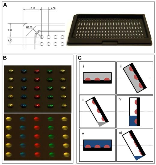 Figure 1. DropArray plate characteristics and processing. (A) DropArray plates consist of an array of circular areas on a polytetrafluoroethylene resin–coated glass slide attached to an aluminum support frame. (B) Each 2-mm diameter well is loaded with 2 μL of food coloring for better visualization. During an assay, the array of droplets is immersed in a perfluorocarbon-based liquid oil (gray), which virtually eliminates evaporation. (C) Steps involved during the plate washing procedure include the following: (i) the plate is sealed to the washer to create a large rinsing chamber; (ii) the rinsing chamber tilts to allow drainage of incubation oil; (iii) drainage of the incubation oil through gravity assist and a liquid pump; (iv) the rinsing chamber is filled with wash buffer (1× PBS, blue); (v) the rinsing chamber returns to the horizontal position for linear shaking; and (vi) after linear shaking, the rinsing chamber tilts to allow drainage of wash buffer.