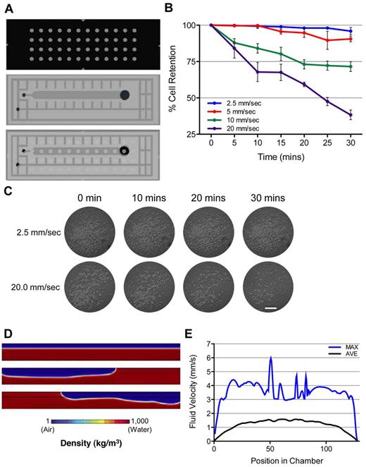 Figure 2. Flow chamber and fluid velocity simulation. (A) Schematic of the flow chamber platform used for analysis. Cells were seeded on a DropArray plate, and flow chamber was overlaid on top of the cells and DropArray plate. (B) Quantification of the percentage of cells remaining in the well after 30 minutes of constant exposure to fluid velocities of 2.5, 5.0, 10, and 20 mm/s and the standard error. As the fluid velocity increases, the number of cells retained decreases. (C) Time series micrographs of K562 cells seeded within a 2-mm droplet during exposure of constant fluid sheer force (2.5 and 20 mm/s) over 30 minutes. Scale bar = 0.5 mm. (D) Visualization of simulated fluid movement within the chamber. Before the application of horizontal washing action of 44 RPM, the air (blue) and liquid media (red) span the length of the chamber. During washing, the fluid and air components oscillate between the ends of the chamber. (E) Quantification of simulated fluid velocity with a washing speed of 44 rpm at 10 μm above the chamber floor. The average fluid velocity (mm/s) at each location along the chamber floor is plotted as well as the standard error over the duration of washing (10 seconds). In addition, the maximum velocity at each location is plotted, representing the fastest fluid movement a cell on the chamber floor could potentially be exposed.