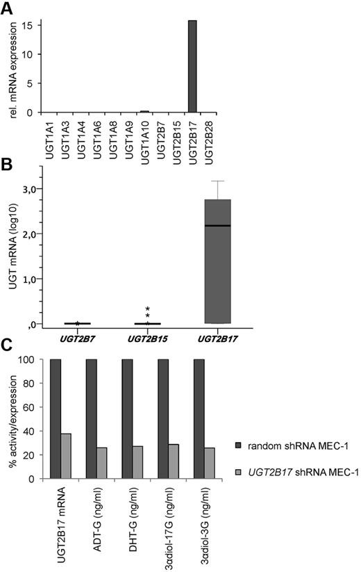 Figure 3. CLL-specific expression and enzymatic activity of UGT2B17. (A) UGT family expression profiling in MEC-1, (B) UGT2B isoform expression in CLL patients (n = 19), and (C) functional UGT2B17 shRNA knockdown in MEC-1 (mean of 3 replicates).