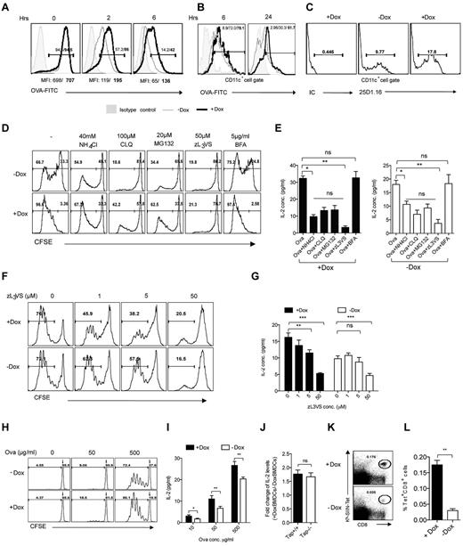 Figure 4. Exploring potential mechanism of enhanced cross-presentation by YOD1-C160S APCs. (A) Control and YOD1-C160S BMDCs were pulsed with 50 μg/mL of Ova-FITC for 30 minutes and the intensities of Ova-FITC were measured over time. FACS plots overlay show the percentage of FITC+ cells (text box) and the mean fluorescence intensities of FITC below the respective histograms in control (regular letters) and YOD1-C160S expressing cells (bold letters). (B) Fifty μg of Ova-FITC was injected into footpads of control and YOD1-C160S mice and the percentages of Ova-FITC+ CD8+CD11c+ cells were measured at 6 and 24 hours in the draining popliteal LNs by flow cytometry. Overlay FACS plots are shown. Thin and thick lines represent the Ova-FITC staining in cells isolated from control and YOD1-C160S mice, respectively. C. BMDCs were pulsed with 200 μg/mL of Ova for 30 minutes and surface displayed SIINFEKL-peptide/H-2Kb complexes on control and YOD1-C160S BMDCs are shown after 12 hours (IC stands for isotype control). (D-G) Influence of chemical/pharmacologic inhibitors or TAP1-deficiency on antigen cross-presentation. Control and YOD1-C160S BMDCs were pulsed with 50, 100, or 500 μg/mL of ovalbumin for 5 hours. Different chemical inhibitors were added during the pulse period as described in supplemental Figure 5A. Treated BMDCs were then cocultured with CFSE labeled OT-I cells and their proliferation and cytokine production were measured. Proliferation (D) and IL-2 production (E) by OT-I cells under indicated conditions is shown. Experiments were repeated 4 times with similar results and data are shown as mean values ± SEM. (F-G) Control and YOD1-C160S BMDCs pulsed with 500 μg/mL of ovalbumin were treated with indicated doses of proteasome inhibitor (zL3VS) and cocultured with CFSE labeled OT-I cells. Proliferation (F) and IL-2 levels (G) under indicated conditions are shown. Experiments were repeated 3 times and mean values ± SEM are shown. (H-J) BMDCs from TAP1−/−YOD1-C160S and YOD1-C160S mice were generated in the presence or absence of doxycycline. These cells were pulsed with different doses of Ova and cocultured with CFSE labeled OT-I cells. After 72 hours of coculture, proliferation of OT-I cells (H) IL-2 production (I) in culture supernatants were measured. (J) Bar diagrams show the fold changes in the levels of IL-2 from OT-I cells cocultured with control and YOD1-C160S BMDCs pulsed with 50 μg/mL of Ova. (K-L) TAP1−/−YOD1-C160S mice fed with regular or doxycycline supplemented water for 7 days were transferred with 5 × 105 OT-I cells. These mice were then immunized subcutaneously in the base of tail with 200 μg of Ova emulsified in incomplete Freund adjuvant (IFA) and the frequencies of Kb-SIINFEKL-Tet+ cells were measured at 7 days after immunization in the draining iliac LNs. K. Representative FACS plots show the frequencies of Kb-SIINFEKL-Tet+ cells. (L) Bar diagram show the cumulative frequencies of SIINFEKL-Tet+ cells in 2 groups of mice. Three animals were included in each group and experiments were repeated twice.