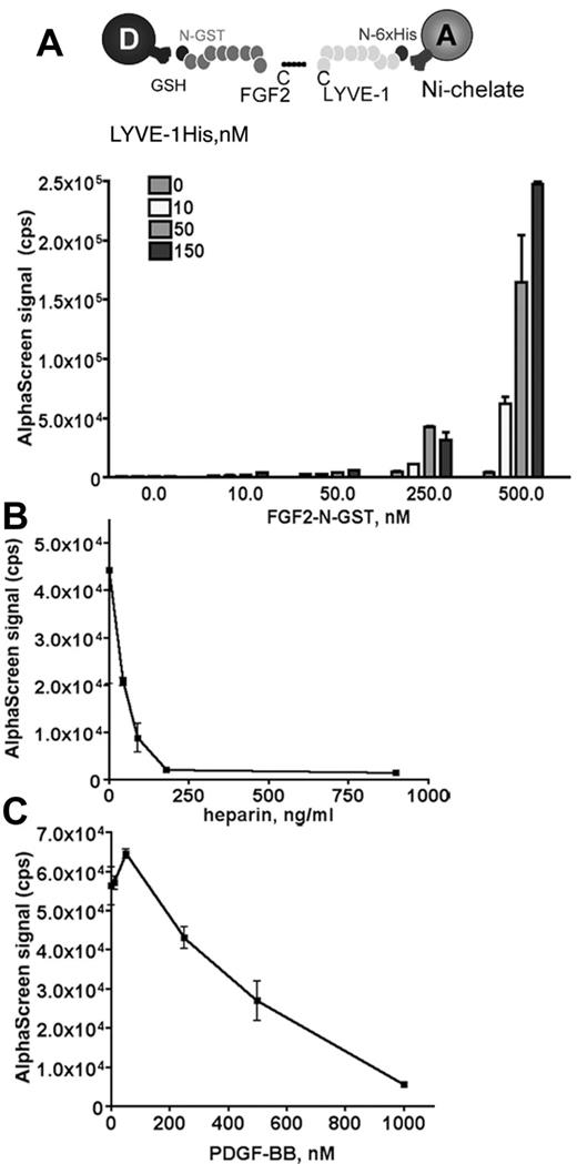 Figure 1. Analysis of FGF2/LYVE-1 interaction by AlphaScreen-based technology. (A) Detection of FGF2/LYVE-1 interaction. Top panel: Assay design of the AlphaScreen experiment. GST tagged FGF2 (FGF2-N-GST) was bound to AlphaScreen glutathione donor beads and 6xHis-tagged LYVE-1 (LYVE-1 N-6xHis) to AlphaScreen Ni chelate acceptor beads. Bottom panel: Direct interaction between FGF2 and LYVE-1. The recombinant proteins of indicated concentrations were incubated with donor and acceptor beads for 1 hour at room temperature before signal measurement. (B-C) AlphaScreen-based competition assays. The interaction between 500nM FGF2-N-GST and 50nM LYVE-1 N-6xHis was competed in the presence of increasing concentrations of heparin (B) and PDGF-BB (C). IC50 were determined with equation 1-site competition (GraphPad Prism Version 5). (A-C) Results are representative experiments from 3 independent experiments. Results are mean values ± SD (n = 3).