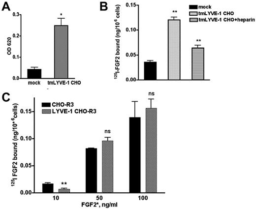 Figure 5. Effect of exogenously expressed cell-surface tmLYVE-1 on 125I-FGF2 binding. (A) Quantitative cell attachment assay of tmLYVE-1 CHO cells. TmLYVE-1 CHO and mock-transfected CHO cells were plated onto microtiter wells coated with HA and cell attachment was analyzed as described in supplemental Methods. The experiment was repeated 2 times in triplicate, values are mean ± SD. (B) 125I-FGF2 binding to low-affinity sites in the tmLYVE-1 CHO clone. TmLYVE-1 CHO and mock-transfected cells were incubated with 10 ng/mL 125I-FGF2 in the presence or absence of 100 ng/mL heparin. After 2 hours of incubation at 4°C, the radioactivity associated with HSPGs was measured as indicated in “Methods.” Data are expressed as a specific activity (125I-FGF2 ng/106 cells). The binding of the figure depicts representative experiment done in duplicates (datapoints as mean ± SD, n = 3). (C) 125I-FGF2 binding to high-affinity sites in tmLYVE-1 CHO-R3. TmLYVE-1 CHO-R3 and mock-transfected cells were incubated with increased concentrations of 125I-FGF2. After 2 hours of incubation at 4°C, the radioactivity associated with FGFR was measured as indicated in “Methods.” Data are expressed as a specific activity (125I-FGF2 ng/106 cells). The binding of the figure depicts representative experiments done in duplicates (datapoints as mean ± SD, n = 3).