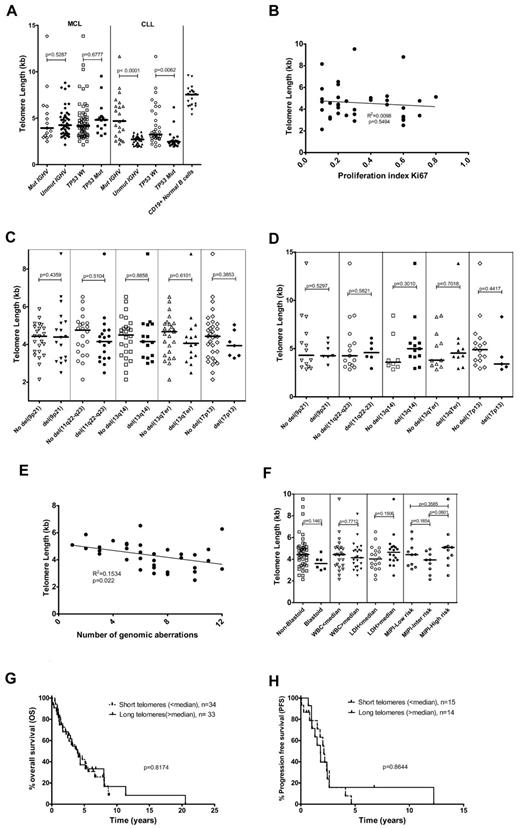 Figure 1. Correlation of telomere length with biologic and clinical factors. (A) Telomere length distribution in MCL and CLL samples with mutated/unmutated IGHV and mutant/wild-type TP53 and in normal B cells from healthy donors. (B) Correlation of telomere length with proliferation index (Ki67) levels. (C) Telomere length distribution among MCL lymph node samples with and without different genomic aberrations such as del(9p21), del(11q22-q23), del(13q14), del(13qTerminal), and del(17p13). (D) Telomere length distribution among MCL peripheral blood samples with and without different genomic aberrations such as del(9p21), del(11q22-q23), del(13q14), del(13qTerminal), and del(17p13). (E) Telomere length variation with the number of genomic aberrations detected using FISH and/or array-CGH (2 outliers with 0 and 1 genomic aberration detected were removed). (F) Relation of telomere lengths to clinical features in MCL samples. (G) Overall survival in the short (< median) and long telomere (> median) subgroups (median, 48 months; P = .8174). (H) Progression-free survival in the short (< median) and long telomere (> median) subgroups (median 25 vs 22 months; P = .8644). The lines in panels A, C, D, and F represent the median.