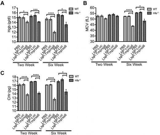 Figure 3. Analysis of erythropoietic parameters in treated Hfe−/− mice. The RBC parameters hemoglobin (Hgb; A), mean cell volume (MCV; B), and reticulocyte mean cell hemoglobin (CHr; C) were measured in female WT and Hfe−/− using the same treatment schedule as described in Figure 2. Data are presented as mean ± SEM (n = 5 for each genotype.) P values were calculated using the Student t test. ****P < .001; ***P < .005; **P < .01; *P < .05.