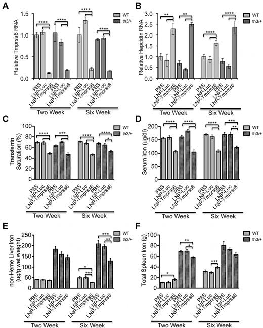 Figure 4. Phenotypic analysis of a thalassemia-intermedia mouse (Hbbth3/+) model after treatment with LNP-Tmprss6 siRNA. Six-week-old female mice were injected once (1 mg/kg) and then harvested 14 days later (left side of graphs, 2-week experiment) or injected a total of 3 times (1 mg/kg) over 6 weeks and then harvested 14 days after the final injection (right side of graphs, 6-week experiment). Total mRNA was harvested from WT or Hbbth3/+ (n = 4 or 5 for each genotype) and Tmprss6 (A) or hepcidin (Hamp; B) mRNA was assessed by quantitative real-time PCR as in Figure 1. Ratios are expressed ± SEM. (C-F) Analysis of serum transferrin saturation (C; %), serum iron (D; μg/dL), nonheme liver iron (E), and total spleen iron (F; g) are depicted (n = 5 or 6 for each genotype.) P values were calculated using the Student t test. ****P < .001; ***P < .005; **P < .01; *P < .05.