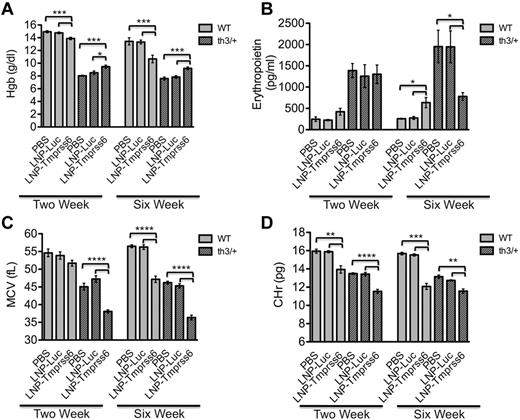 Figure 5. Analysis of erythropoietic parameters in treated Hbbth3/+ mice. (A,C,D) The RBC parameters Hgb (A), MCV (C), and reticulocyte mean cell hemoglobin (CHr; D) were measured in female WT and Hbbth3/+ mice. (B) ELISA erythropoietin analysis of serum collected from WT and Hbbth3/+ mice on same treatment schedule as described in Figure 4 (n = 5 or 6 for each genotype). Data are presented as mean ± SEM. P values were calculated using the Student t test. ****P < .001; ***P < .005; **P < .01; *P < .05.