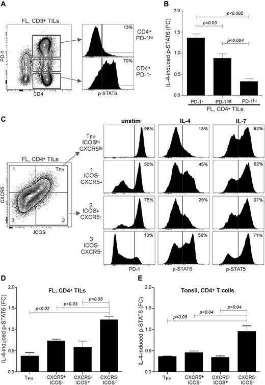 Figure 5. The cytokine signaling deficit in FL TILs is restricted to PD-1hiCD4+ T cells and includes TFH cells and non-TFH cells. FL LN specimens were cultured with or without IL-4 for 15 minutes and then assayed for IL-4–induced phosphorylation of p-STAT6 by combining CD3-, CD5-, CD4-, and PD-1-specific Abs with p-STAT6 Ab in the phospho-flow cytometric assay. (A) IL-4–induced p-STAT6 was determined in CD4+ TILs gated on different expression levels of PD-1. (B) Data are shown as mean FC ± SEM; FL, n = 7. (C) IL-4–induced p-STAT6 was determined in CD4+ FL TILs, based on expression of ICOS and CXCR5. Shown is 1 representative case, and (D) mean FC ± SEM; FL, n = 3. (E) IL-4–induced p-STAT6 was determined in CD4+ tonsil T cells, based on expression of ICOS and CXCR5. Mean FC ± SEM; tonsil, n = 3. Statistical difference between groups was determined by paired 2-tailed Student t test.