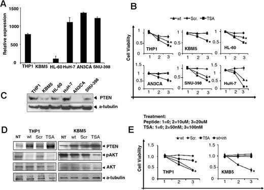 Figure 3. The wt peptide reduces tumor cell viability in a SALL4/PTEN-dependent manner. (A) SALL4 expression in various tumor cell lines. SALL4 RNA expression was measured by quantitative RT-PCR and normalized to GAPDH. Expression of SALL4 in KBM5 cells was set as 1. (B) Reduced viability of tumor cells treated with wt peptide and TSA at various concentrations was observed in SALL4-expressing THP1, HL-60, SNU-398, and HuH-7 cell lines, but not in non-SALL4–expressing KBM5 cells at 72 hours. Surprisingly, AN3CA, a uterine cancer cell line with high SALL4 expression did not respond to wt peptide treatment. Cell viability (y axis) represents the relative result of the MTS assay. The value for each cell line with Pep-1 treatment alone was set as 1 (n = 3). *P < .05. (C) Western blot on endogenous PTEN protein expression in various untreated cancer cell lines. AN3CA has no detectable endogenous PTEN. (D) Peptide treatment can affect the PTEN/AKT pathway. Shown is a Western blot of the protein expression levels of PTEN, pAKT, and total AKT after peptide treatments. (E) A PTEN inhibitor (SF1670) can reverse wt peptide effects on viability of THP1 (SALL4+) cells, but has no effect on KBM5 (SALL4−) cells. The graph shows the results of MTS analysis of cells treated with wt peptide, scr peptide, TSA (100nM), or wt peptide + PTEN inhibitor SF1670 (wt + inh; n = 3). *P < .05.