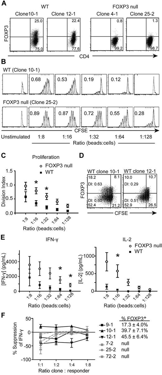 Figure 1. FOXP3-null CD4+CD25− Tconv cell clones proliferate to a greater extent and produce more IFN-γ and IL-2 than WT Tconv cell clones. Tconv cell clones from a subject who is hemizygous for a null mutation in FOXP3 were labeled with CFSE and stimulated with different ratios of anti-CD3/anti-CD28–coated beads. After 4 days, Tconv clones were stained with anti-CD4 and anti-FOXP3 Abs (236A/E7) and read on a FACSCanto. (A) Activation-induced FOXP3 expression in WT but not FOXP3-null Tconv cell clones. Two representative WT and 2 FOXP3-null Tconv clones are shown for clones that were stimulated with 1 anti-CD3/anti-CD28–coated bead per 32 cells for 4 days. (B) One representative experiment; numbers in each plot represent the division index. (C) Average division index of multiple WT (n = 7) and FOXP3-null (n = 11) Tconv clones. (D) Division indices (DI) of the FOXP3+ and FOXP3− populations are given within each plot of 2 representative WT Tconv clones stimulated with 1 anti-CD3/anti-CD28–coated bead per 32 cells for 4 days. (E) Average IFN-γ and IL-2 production by WT (n = 7) and FOXP3-null (n = 11) Tconv clones (5 × 105 cells/mL). Supernatants from cultures were collected 20 hours after T-cell activation and analyzed by ELISA. (F) Percent suppression of IFN-γ production in Tconv clone cocultures. FOXP3-null clones were labeled with CFSE and cocultured at the indicated ratios with WT (black) or FOXP3-null (gray) Tconv clones labeled with CPD. Cocultures were activated with anti-CD3/anti-CD28–coated beads (1 bead: 32 cells). After 4 days, cocultures were restimulated with PMA and ionomycin and stained for IFN-γ. Shown is the average percent suppression against 3 different FOXP3-null responders by each WT or null clone. The average FOXP3 expression on day 4 for the WT clones is also shown (n = 3). Error bars represent SEM. *P < .05.