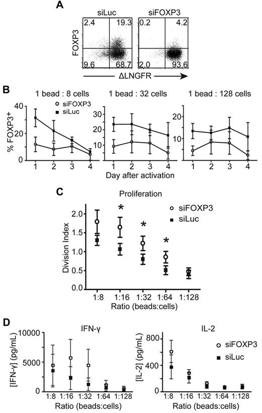 Figure 3. CD4+CD25− T cells transduced with siRNA against FOXP3 proliferate to a greater extent than CD4+CD25− T cells transduced with control siRNA against luciferase. CD4+CD25− T cells transduced with siFOXP3 or siLuc were purified as ΔLNGFR+ cells, then labeled with CFSE and stimulated with different ratios of anti-CD3/anti-CD28–coated beads. Transduced T cells were stained with anti-CD4, anti-ΔLNGFR, and anti-FOXP3 Abs. (A) Representative FACS plots of FOXP3 expression in purified siFOXP3 and siLuc-transduced T cells 3 days after activation at a 1:32 bead to cell ratio. (B) FOXP3 expression in ΔLNGFR+ siFOXP3-transduced T cells and control siLuc-transduced T cells after anti-CD3/anti-CD28 bead stimulation (n = 4). (C) Average division index of siFOXP3-transduced T cells and control siLuc-transduced T cells (n = 4). (D) CD4+CD25− T cells transduced with siFOXP3 or siLuc were stimulated with different ratios of anti-CD3/anti-CD28–coated beads at 5 × 105 cells/mL. Supernatants were collected 20 hours later and analyzed for IFN-γ and IL-2 by ELISA (n = 4). Error bars represent SEM. *P < .05.