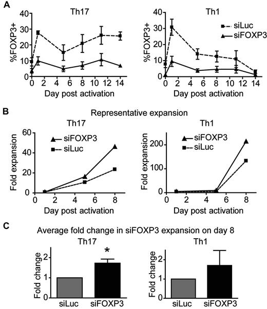 Figure 5. FOXP3-deficient human Th17 cells have a greater expansion potential than control Th17 cells. Th1 and Th17 cells transduced with siFOXP3 or control siLuc were stimulated with anti-CD3/anti-CD28–coated beads (1 bead: 32 cells) in the presence of IL-2. (A) FOXP3 expression in siFOXP3 and control siLuc-transduced Th1 and Th17 cells over 2 weeks (n = 4). (B-C) At the indicated time points, cells were collected and stained with viability dye and anti-ΔLNGFR. Live, ΔLNGFR+ cells were counted by flow cytometry with counting beads. Fold expansion was determined by dividing the number of cells at each time point by the number of live, unstimulated cells counted by the same method on day 1. One representative experiment of 4 is shown in panel B and the average fold expansion of siFOXP3-transduced T cells over control siLuc-transduced T cells on day 8 after activation is shown in panel C. Error bars represent SEM. *P < .05.