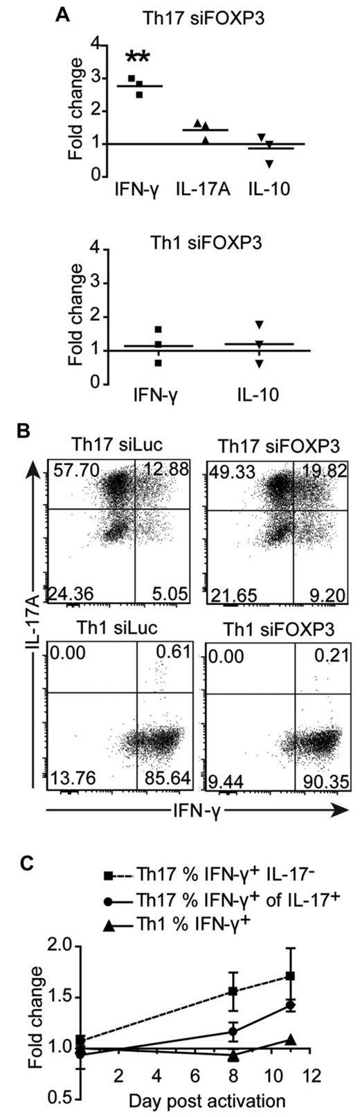 Figure 6. Cytokine production by FOXP3-deficient Th17 and Th1 cell lines. Th1 and Th17 cells transduced with siFOXP3 or control siLuc and purified based on ΔLNGFR expression were restimulated with anti-CD3/anti-CD28–coated beads (1 bead: 32 cells) in the presence of IL-2. (A) On day 8 after stimulation, cells were washed and replated at 1 × 106 cells/mL, and supernatants were collected 48 hours later for analysis by cytometric bead array. Each dot represents the fold change in cytokine production by siFOXP3-transduced T cells relative to control siLuc-transduced T cells for one donor. (B-C) On days 0, 8, and 11 of the expansion, Th1 and Th17 cells were restimulated with PMA and ionomycin and stained intracellularly for IFN-γ and IL-17A. Analysis was conducted on ΔLNGFR+ cells. (B) Representative plots of IL-17A and IFN-γ expression 11 days after activation. (C) The average fold changes in the percentage of IFN-γ+IL-17− Th17 cells (n = 4), IFN-γ+ of IL-17+ Th17 cells (n = 4), and IFN-γ+ Th1 cells (n = 3) in siFOXP3 relative to control siLuc over the course of the experiment. At day 8 after activation, the fold change in the percentage of IFN-γ+IL-17− Th17 cells is significant (P = .0436) and at day 11 after activation, the fold change in the percentage of IFN-γ+ of IL-17+ is significant (P = .0033).