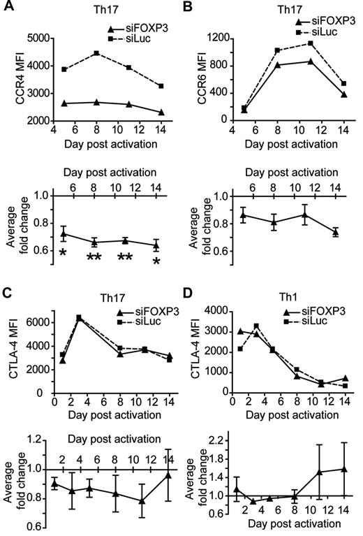Figure 7. Cell-surface marker expression in FOXP3-deficient Th1 and Th17 cells. Th1 and Th17 cells transduced with siFOXP3 or control siLuc and purified based on ΔLNGFR expression were restimulated with anti-CD3/anti-CD28–coated beads (1 bead: 32 cells) in the presence of IL-2. At the indicated days after activation, cell-surface marker expression was determined by flow cytometry. Analysis was conducted on ΔLNGFR+ cells. The top panels of A-D show mean fluorescence intensities (MFIs) of one representative experiment. The bottom panels of A-D show the average fold change in MFI of siFOXP3 relative to siLuc (MFI siFOXP3/ MFI siLuc). (A) Th17 CCR4 (n = 3-4). (B) Th17 CCR6 (n = 2-3). (C) Th17 CTLA-4 (n = 2-3). (D) Th1 CTLA-4 (n = 2-3). Error bars represent SEM. *P < .05; **P < .01.