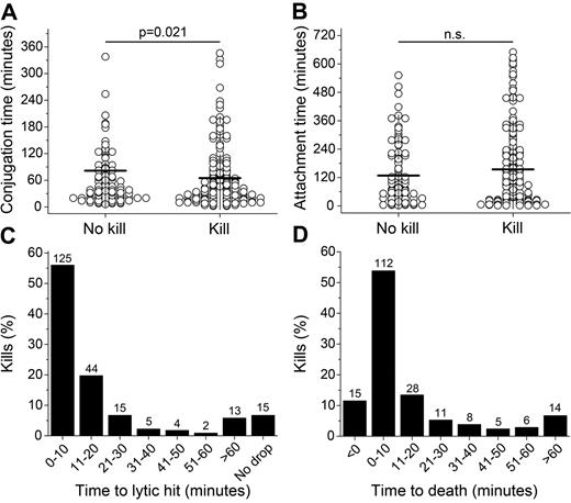 Figure 3. Timing of basic NK cell behavior. (A) Conjugation times for nonlytic and lytic interactions. (B) Attachment times for nonlytic and lytic interactions. (C) Distribution of times to lytic hit. (D) Distribution of times to target cell death.