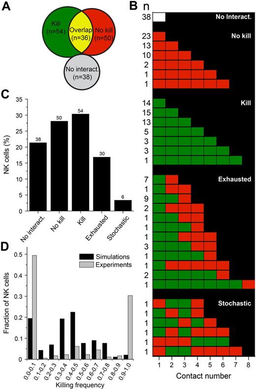 Figure 6. NK cells can be classified based on their contact/killing history. (A) Venn diagram depicting the distribution of NK cells based on whether they always killed (green), never killed (red), sometimes killed (yellow overlap), or never encountered target cells (white). (B) Contact history of individual NK cells arranged into 5 different classes. The columns represent the number of conjugates formed and each row represents a conjugation/killing sequence. White represents no interaction; red, nonlytic interaction; and green, lytic interaction. Numbers on the left indicate the number of NK cells observed. (C) Frequency of each group as a percentage of the total NK population. (D) Fraction of NK cells that exhibited the indicated killing frequency in the experiments (gray bars) and simulations (black bars). The killing frequency is the fraction of interactions that resulted in target cell death out of all of the interactions in which the NK cell participated. NK cells that never encountered target cells in the experiments or simulation were given a killing frequency of zero and were included in the analysis (thus contributing to the bars at 0.0-0.1).