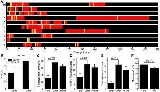 Figure 7. Serial killers are larger and show stronger and faster responses. (A) Scheme showing conjugation periods (red) and target cell killing events (yellow lines) for the 10 detected NK serial killers. (B) Percentage of fast and slow kills and times (C-E) measured for serial killers (serial), all cytolytic interactions (all kills), and all cytolytic interactions except those performed by serial killers (other). (C) Conjugation time. (D) Time to lytic hit. (E) Time to target cell death. (F) Mean cell area for serial killers (serial) and all NK cells that killed at least one target cell during the experiment (kills).