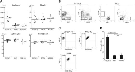 Figure 1. BRGS mice lack lymphocytes and SIRPA recognizes human CD47-Fc. (A) Frequencies of blood leukocytes, erythrocytes, hemoglobin, and platelets in BRGS mice. Leukocyte counts in BRGS (2.69 ± 1.01 × 103/μL) and NOD-RG mice (2.23 ± 0.7 × 103/μL) are significantly decreased compared with that in C57BL/6 mice (9.6 ± 0.32 × 103/μL). BRGS mice have normal erythrocyte (9.63 ± 0.63 × 106/μL), hemoglobin (14.0 ± 0.6 g/dL), and platelet (8.7 ± 2.0 × 105/μL) counts. (B) Representative FACS plots of blood in C57BL/6 and BRGS mice. BRGS mice lacked T, B, and NK cells. (C) Binding activity of human CD47-Fc to SIRPA expressed in peritoneal macrophages derived from C57BL/6-RG, BRGS, or NOD-RG mice. Macrophages from BRGS and NOD-RG mice, but not those from C57BL/6-RG mice, were stained with human CD47-Fc on FACS. (D) Phagocytosis assay of C57BL/6-RG, BRGS, or NOD-RG macrophages against human CD34+CD38− CB HSCs (n = 3). The phagocytic index was determined as the number of engulfed cells per 100 macrophages. Bars indicate mean ± SD.