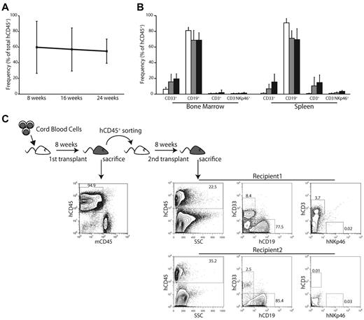 Figure 5. Evaluation of self-renewal of human HSCs in the BRGS mouse model. (A) Change in frequency of human CD45+ cells after transplantation. The level of human CD45+ cells was maintained at a high level until 24 weeks after transplantation (8 weeks, n = 29; 16 weeks, n = 17; and 24 weeks, n = 4). (B) Change in the frequency of human CD33+ myeloid cells, B cells, T cells, and NK cells in the BM and spleen during the 24 weeks after transplantation (□: 8 weeks; ■: 16 weeks; and ■: 24 weeks). Note that the B-cell numbers gradually decreased and were compensated for by myeloid, T, and NK cells. (C) To test the self-renewal ability of human HSCs maintained in the first recipient mice, 1 × 106 human CD45+ cells were sorted from first-recipient mice and injected into second-recipient mice. Only female mice were used as recipients. After another 8 weeks, 4 of 6 BRGS secondary recipients showed multilineage engraftment of human CD33+, CD19+, and CD3+ cells. Representative FACS plots are shown.
