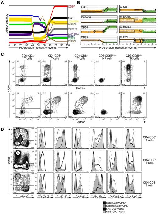 Figure 1. CD57 expression marks perforin-expressing T cells. (A-D) Freshly isolated, resting PBMCs from 12 healthy adult volunteers were surface stained with fluorochrome-conjugated antibodies to CD3, CD4, CD8, CD14, CD19, CD27, CD28, CD45RA, CD45RO, CD56, CD57, and CD62L, followed by fixation, permeabilization, and intracellular staining with isotype control antibodies or antibodies to perforin and granzyme B, and then analyzed by flow cytometry. Lymphocytes were gated on forward scatter/side scatter plots. (A-B) Concatenated data for 30 000 randomly selected CD3+CD14−CD19−CD4−CD8+ living lymphocytes (CD8+ T cells) from each of 12 healthy adult donors. (A) Probability state model of CD8+ T cells. The parameters were added to the model in the following order: granzyme B, perforin, CD28, CD57, CD27, and finally CD62L, which was branched because of the observed heterogeneity relative to the other parameters. CD45RA and CD45RO were not included as parameters in the model, but are displayed in the final analysis. (B) Plots showing the distribution of differentiation marker expression on individual cells, as indicated, according to the probability state model. (C) Plots show CD57 versus isotype or perforin-staining on T-cell and NK cell subsets, as indicated, from one representative donor. (D) Plots show CD57 versus CD27 staining on T-cell subsets, as indicated, on data concatenated from 7 healthy donors. Histograms display the expression of perforin, granzyme B, CD28, CD45RA, CD45RO, and CD62L in the CD27+CD57+, CD27+CD57−, CD27−CD57+, CD27−CD57− T-cell subsets, as indicated.