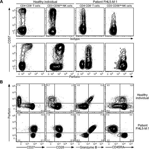 Figure 5. Perforin expression in T-cell subsets from a Munc18-2–deficient patient with ongoing HLH. Freshly isolated PBMCs from healthy adult volunteers and an untreated Munc18-2–deficient patient with HLH were surface stained with fluorochrome-conjugated antibodies to CD3, CD4, CD8, CD14, CD19, CD27, CD28, CD45RA, CD45RO, CD56, and CD57, followed by fixation, permeabilization, and intracellular staining with isotype control or anti-perforin and anti-granzyme B antibodies or antibodies to perforin and granzyme B, and then analyzed by flow cytometry. (A) Plots showing CD57 versus isotype or perforin-staining on T-cell and NK cell subsets, as indicated. (B) Plots showing CD57 versus CD27 staining on T-cell subsets, as indicated. Histograms display the expression of perforin, granzyme B, CD28, CD45RA, CD45RO, and CD62L in the CD27+CD57+ and CD27+CD57− T-cell subsets, as indicated.