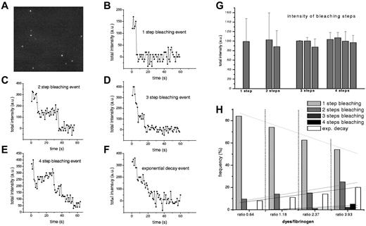 Figure 1. Bleaching of single fluorescently labeled fibrinogen molecules in TIRFM. (A) TIRFM image showing single fibrinogen molecules that adhered to the chamber glass surface from bulk solution. Time sequences of images like this showed the irreversible bleaching of the attached fluorophores in (B) 1 step, (C) 2 steps, (D) 3 steps, (E) 4 steps, or (F) showed sometimes an exponential decay. (G) Intensities of steps were in the same range for all individual bleaching events. Data plotted are from 1 single set of measurements and all the other datasets present similar values. Each data point represents a mean of at least 5 values and error bars are standard deviations. Because the magnitudes of the bleaching steps are all multiples of a single bleaching step, the number of bleaching steps accounts for the number of fluorophores attached, whereas the exponential decay curve accounts for a larger number of dyes attached to a fibrinogen molecule (number that can be determined from the intensity analysis). (H) Bleaching event distributions for several bulk-labeling ratios using tetramethyl-rhodamine–labeled fibrinogen show that by increasing the bulk-labeling ratio, the 1-step bleaching events decrease in favor of multiple steps events; however, 1-step bleaching events remain predominant. This distribution of active labeling we used for the molecular calibration. At least 90 bleaching events were collected for each ratio. The lines are linear fits of 1-step bleaching events, 2-step bleaching events, and so on. We used an Olympus Plan Apo 60×/1.45 oil TIRFM objective and an ORCA-ER Hamamatsu (Japan) camera. Images were acquired with National Instruments IMAQ Vision Builder 6 and image sequences were recorded at 1 frame/s. Resolution in the TIRFM image was 80 nm/pixel.