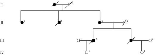 Figure 1. A Chinese pedigree with colorectal cancers and acute myeloid leukemia. Solid symbols indicate affected individuals. Open symbols indicate unaffected individuals. The arrow indicates the proband, and slashes indicate deceased persons. I-1, lung cancer. II-1, rectal cancer. II-2, rectal cancer. II-3, colon cancer. III-2 and III-3, acute myeloid leukemia, M2 and M1.