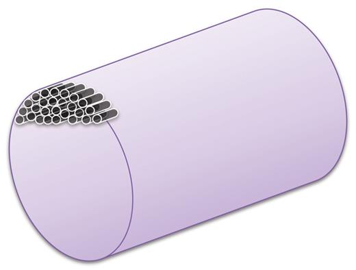 Each fibrin fiber is composed of thousands of fibrin molecules in width (diameter). For example, a fiber with a thickness of 400 nm consists of around 5000 fibrin molecules in diameter, and a fiber with a diameter of 900 nm consists of 25 000 molecules. Data based on Hategan et al.1 Schematic representation; not drawn to scale. Fiber is only part filled.