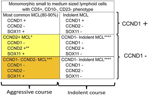 MCL is characterized by monomorphic small to medium-sized lymphoid cells with CD5+, CD10−, CD23− phenotype.2 CCND1 rearrangement and/or CCND1 immunostaining is a hallmark of diagnosis. However, it has been known that CCND1-negative MCL with a poor clinical outcome exists. Recently, SOX11 has been shown to be a good marker to identify such cases with poor outcome,5although a controversy has been raised.7 Salaverria et al revealed that CCND2 gene rearrangement is frequently found (22 of 40 CCND1-negative MCL cases, 55%) and is a molecular basis for CCND1-negative SOX11-positive MCL (yellow box).1 Further study on molecular mechanisms of CCND1-negative CCND2-negative SOX 11-positive MCL with a poor clinical outcome (orange box) to provide appropriate therapy is needed. *More than half (22/40) of the CCND1-negative SOX11-positive MCL show CCND2 gene rearrangement. **Translocation of CCND2 takes place predominantly with IG light chain genes (15/22). ***Among CCND1-negative SOX11-positive MCL cases, 18 of 40 did not show CCND2 translocation. Because controversy exists on SOX11 staining with regard to clinical outcome, further study including identification of other diagnostic markers and molecular basis is warranted. ****CCND1-negative indolent MCL has not been well recognized and would be rare, but its understanding is important for selecting appropriate therapy and for differential diagnosis from the other types of lymphoma.