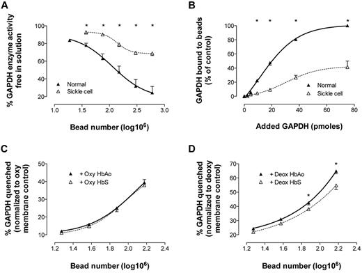 Figure 5. Avid O2-responsive HbS binding to RBC membrane defeats potential control of GAPDH activity. RBC membranes depleted of endogenous GAPDH were attached to silica beads. (A) To study membrane-based inhibition of free GAPDH, progressive numbers of membrane coated beads were incubated with a GAPDH activity buffer (containing a fixed amount of GAPDH). Beads were pelleted and residual enzyme activity in the supernatant was assayed (n = 3-9; mean ± SEM). *P < .05 for normal versus SS. (B) To quantitate GAPDH binding to membrane, progressive amounts of GAPDH (in activity buffer) were incubated with membrane-coated beads (bead number fixed at 3 × 108), beads were pelleted, and membrane-bound GAPDH was quantitated by immunoblot and densitometry. SSRBC membranes quenched and bound significantly less GAPDH than control RBC membranes (n = 4; mean ± SEM) *P < .05 for normal versus SS. In separate experiments, beads coated with membrane from oxygenated or deoxygenated normal RBCs were incubated with oxygenated (HbO2% > 85%) or deoxygenated (HbO2% < 15%) HbAo or HbS and then incubated with GAPDH. Enzyme activity was determined in the supernatant. (C) No difference was observed in GAPDH quenching after incubation of bead-attached membrane from oxygenated RBCs with either oxy-HbAo or HbS (n = 4; mean ± SEM). (D) However, beads coated with washed membrane from deoxygenated RBCs and incubated with deoxy-HbS quenched significantly less GAPDH than those incubated with deoxy-HbAo (n = 6; mean ± SEM). *P < .05 for deoxy-HbAo versus deoxy-HbS.