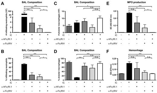 Figure 3. hFcγRI can trigger IC-induced airway inflammation in transgenic mice. (A-B) Neutrophil count (A) and percentage (B) among leukocytes. (C-D) Alveolar macrophage count (C) and percentage (D) among leukocytes. (E-F) Myeloperoxidase (MPO; E) level and hemorrhage score (F) in BAL from hFcγRItg 5KO mice after injection of the indicated reagents. IC indicates OVA injected intravenously followed by anti-OVA antiserum injected intranasally (n = 4 in all groups). Data are representative of at least 2 independent experiments and are represented as means ± SEM.