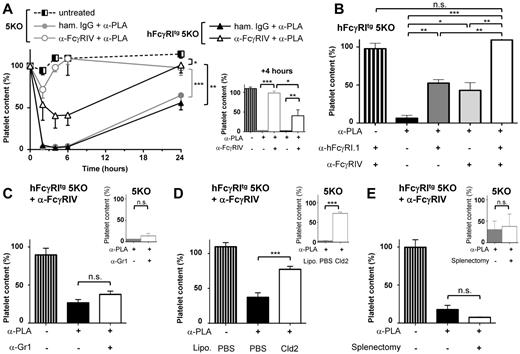 Figure 6. Macrophages are necessary for hFcγRI-dependent thrombocytopenia. (A) hFcγRItg 5KO (black) or 5KO (gray) mice were pretreated with the indicated reagents before being injected intravenously with antiplatelet mAb (α-PLA). Platelet counts were acquired in blood at the indicated times presented as curves (left) or at t = 4 hours presented as histograms (right) after α-PLA injection (n = 3). (B) hFcγRItg 5KO mice were pretreated with the indicated reagents and platelet counts acquired in the blood at t = 4 hours after α-PLA injection (n = 3). (C-E) 5KO mice (small histograms in insets) or anti-FcγRIV–treated hFcγRItg 5KO mice (large histograms, left in each panel) were pretreated with the indicated reagents or splenectomized when indicated and platelet counts were acquired in the blood at t = 4 hours after α-PLA injection (C-D: n = 3; E: n ≥ 3). Data are representative of at least 2 independent experiments and are represented as means ± SEM.
