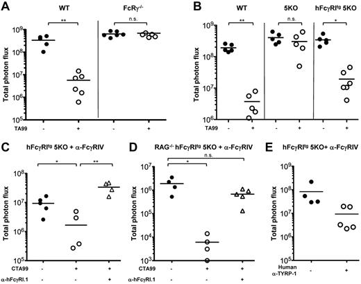 Figure 7. hFcγRI can mediate antibody-dependent protection from metastatic melanoma in transgenic mice. (A-D) Mice were injected intravenously with B16 luc2+ cells and with anti–TYRP-1 mAbs (TA99 or CTA99 or human anti–TYRP-1) where indicated. (C-E) Mice were also pretreated with anti-FcγRIV mAbs. Quantification of tumor load was performed on ex vivo explanted lungs on day 11 after injection of B16 luc2+ cells (A, n ≥ 5; B, n ≥ 5; C, n ≥ 4; D, n ≥ 4; E, n ≥ 4). Data are representative of at least 2 independent experiments and are represented as means ± SEM.