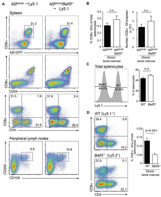 Figure 2. Expansion of CD8α+ DCs after short-term bone marrow reconstitution. Analyses of purified CD11c+ DCs from bone marrow chimeric Id2gfp/gfp (Ly5.2+)→Ly5.1+, Id2gfp/gfpBatf3−/− (Ly5.2+)→Ly5.1+ mice 21 days after reconstitution. DCs were purified from (A) spleen (top panels) and peripheral LNs (bottom panels) then stained for various surface molecules and analyzed by flow cytometry. Numbers indicate the percentage of cells in each DC subset gated on live (PI−) donor (Ly5.1− or Ly5.2− cells) CD11c+CD45RA− DCs. (C) Proportion and total number of CD8α+ DCs recovered from spleens of chimeric mice as in panel A. Data are representative of at least 3 separate experiments with similar results (n = 6 mice per group). (D) Analysis of splenocytes (left panel) and DCs (right panel) purified from spleens of Ly5.1+:Batf3−/− (Ly5.2+)→Ly5.1/5.2+ F1 mixed bone marrow chimeras and analyzed by flow cytometry. Numbers indicate the percentage of cells in each DC subset gated on live (PI−) donor (Ly5.1+ or Ly5.2+ cells) bone marrow. Data are representative of at least 2 separate experiments with similar results (n = 5-6 mice per group).