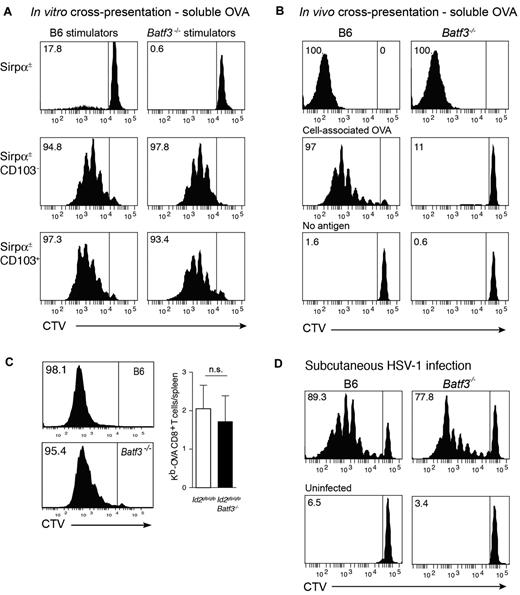 Figure 3. In vitro and in vivo cross-presentation of cell-associated, soluble, and viral antigens in Batf3-deficient mice. (A) Ly5.2+CD45RA− CD11c+Sirpα+ (top panels), CD11c+Sirpα−CD103− (CD8α+ equivalent; middle panels) and CD11c+Sirpα−CD103+ DCs (bottom panels) were purified from bone marrow cultures of Id2gfp/gfp(Ly5.2+)→Ly5.1 or Id2gfp/gfpBatf3−/−(Ly5.2+)→Ly5.1 chimeric mice that had been allowed to reconstitute for 10 weeks. Bone marrow was stimulated with Flt3L for 8 days with the addition of GM-CSF on day 6. FACS purified populations of DCs were cocultured with soluble OVA together with either CD8+ OT-I cells labeled with CellTracker Violet (CTV). Numbers represent the percentage of cells that have proliferated in response to exogenous antigen. Data are representative of bone marrow cells derived from 2 separate cohorts of Id2gfp/gfp(Ly5.2+)→Ly5.1 or Id2gfp/gfpBatf3−/−(Ly5.2+)→Ly5.1 chimeric mice and each DC subset analyses was performed in duplicate or triplicate within each experiment. (B) In vivo cross-presentation of soluble OVA (top panels). OVA-coated irradiated bm-1 splenocytes or soluble OVA was injected into recipient wild-type or Batf3−/− mice containing 1.5 × 106 CTV-labeled Ly5.1+ OT-I cells. After 3 days, the spleen was isolated and analyzed for proliferation by loss of CTV from Ly5.1+Vα2+CD8+ T cells. (C) Cross-presentation of cell-associated OVA in GVHD. Bm1.ActmOVA mice were irradiated and transplanted with 5 × 106 BM from either Id2-GFP or Id2 × Batf3−/− bone marrow, and 2 × 103 CD3+ T cells from Ly5.1 congenic mice. CSFE-labeled Ly5.1+ OT-I cells were adoptively transferred into mice on day 10 after transplantation and proliferation in the OVA-specific Vα2+ CD8+ T-cell population analyzed after 3 days. Data show representative proliferation profiles (left panels) and the mean number ± SD of Kb-OVA Vα2+ CD8+ T cells recovered per spleen (n = 8). NS, not significant. (D) Responses to HSV-1 virus infection. 1.5 × 106 CTV labeled Ly5.1+ HSV-1–specific (glycoprotein B, gB) CD8α+ T cells were adoptively transferred into wild-type or Batf3−/− mice 1 day before subcutaneous foot pad inoculation with HSV-1. After 3 days, the spleen was isolated and analyzed for proliferation by loss of CTV from Ly5.1+Vα2+CD8+ T cells. Data are representative of 3 experiments with 2 to 4 mice in each group for each experiment.