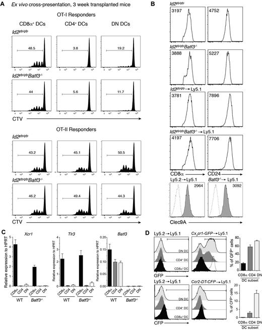 Figure 4. Early induced CD8α+ DCs exhibit hallmarks of classic CD8α+ DCs. (A) Ly5.2+CD11c+CD45RA− CD8α+, CD4+ and CD8α−CD4− DN DCs derived from Id2gfp/gfp (Ly5.2+)→Ly5.1 or Id2gfp/gfpBatf3−/− (Ly5.2+)→Ly5.1 chimeric mice 3 weeks after transplantation of bone marrow were purified by FACS sorting from spleen. DCs (1.25 × 104) were cocultured with OVA-coated bm1 splenocytes and 5 × 103 CTV CD8+ OT-I or CD4+ OT-II T cells. After 60 hours, the level of proliferation induced in cultures were analyzed by staining cells for Vα2+ within the CD4+ and CD8+ populations. Data are representative profiles of 2 experiments with similar results. (B) Expression of CD8α, CD24, and Clec9A surface molecules in splenic CD8α+ DCs. Ly5.2+ CD11c+ splenic DCs from bone marrow chimeric mice as described in panel A. Numbers indicate the mean fluorescence intensity of each marker within the PI−CD45−CD11c+CD8α+ DC subset. (C) Quantitative PCR analyses of Xcr1, Tlr3, and Batf3 expression by CD8α+ DCs 3 weeks after bone marrow transplantation. FACS purified CD8α+ DCs isolated from Id2gfp/gfp (Ly5.2+) or Id2gfp/gfpBatf3−/− (Ly5.2+)→Ly5.1 recipients and analyzed for expression of Tlr3. (D) Analysis of CX3CR1 and CCR2 expression on splenic DC subset 3 weeks after reconstitution of Ly5.1 recipients with Ly5.1 (WT), Cx3cr1-GFP, or Ccr2-DTR-CFP bone marrow. Dotted line shows expression on Ly6Chigh monocytes. (A-D) Data are representative of at least 2 experiments for each condition and error bars represent mean ± SD.