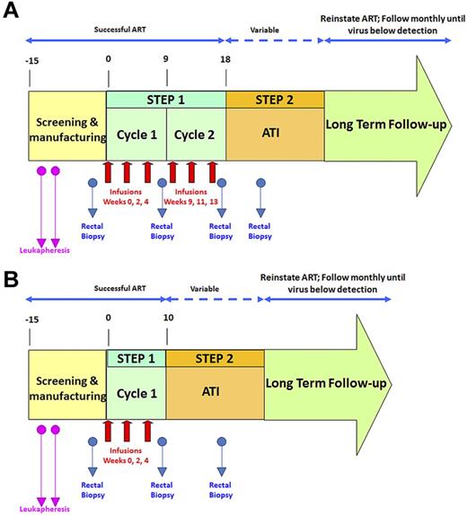 Figure 1. Schematic of clinical trial design. Red arrows indicate infusions of 10 billion T cells each. Blue arrows indicate time points of rectal biopsies. The second leukapheresis (pink arrows) was taken to provide baseline samples and also to serve as a backup if the first manufacture run failed. After initial data indicated that the second cycle of infusions was not increasing VRX496-T persistence, it was removed for later patients. (A) Original study design. (B) Modified study design after removal of second infusion cycle .