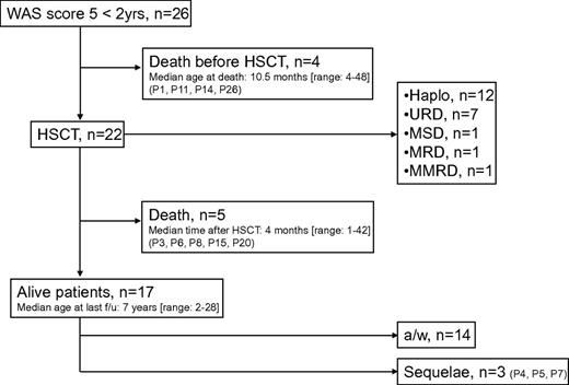 Figure 2. The clinical course of patients with WAS and the attribution of a score of 5 before the age of 2. a/w indicates alive and well; f/u, follow-up; Haplo, haploidentical donor; MRD, matched related donor; mMRD, mismatched related donor; MSD, matched sibling donor; and URD, unrelated donor.