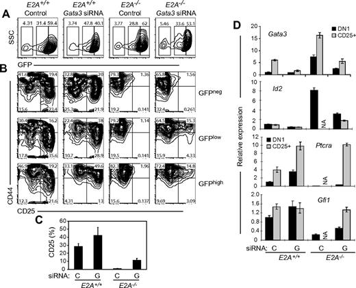 Figure 4. Gata3 siRNA restores DN3-like cell development from E2A−/− FL MPPs. (A) Flow cytometric analysis of E2A+/+ or E2A−/− FL MPPs transduced with control retrovirus or Gata3 siRNA retrovirus and cultured on OP9-DL1 in T cell–supportive conditions. GFP+ cells were enriched by cell sorting 48 hours after transduction and cultured for a further 12 days. (A) GFP versus side scatter (SSC) with gated regions indicate GFPneg, GFPlow, and GFPhigh populations. (B) CD44 and CD25 expression on GFPneg, GFPlow, and GFPhigh cells. One of 4 representative experiments is shown. (C) Average + SE of the percentage of cells expressing CD25 in all experiments. (D) qPCR analysis for Gata3, Id2, Ptcra, and Gfi1 mRNA in DN1-like and CD25+ cells isolated from E2A+/+ or E2A−/− cells transduced with control retrovirus (C) or with Gata3 siRNA (G). NA indicates not available. One of 2 similar experiments is shown. Bars represent the average + SE for the triplicate measurements in the experiment.