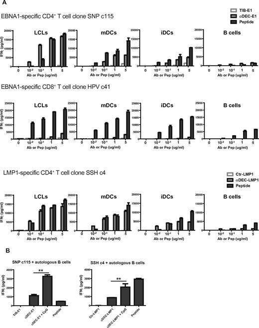 Figure 2. DEC-205 targeting of EBV antigens to LCLs stimulates better antigen-specific CD4+ T-cell responses than targeting to DCs. (A) HLA-matched LCLs, mDCs, iDCs, or B cells from the same donor were treated with the indicated concentration of control antibody, or αDEC-205 with EBNA1 or LMP1 fusion, or peptide, then incubated with the corresponding matched EBNA1- or LMP1-specific T-cell clones. T-cell responses were measured as IFNγ release after 18 hours of coculture at an E/T ratio of 1:1. (B) HLA-matched CD19+ B cells were incubated with 1 μg/mL control antibody with EBNA1 or LMP1 fusion, αDEC-205-EBNA1 or LMP1 fusion, αDEC-205-EBNA1 or LMP1 fusion with or without 2.5 μg/mL CpG for 24 hours, or for 1 hour with epitope-specific peptide, then incubated with EBNA1- or LMP1-specific CD4+ T cells. T-cell activity was determined as in panel A. One of 2 experiments per T-cell clone is shown. P values were calculated from the data of 2 independent experiments with Mann-Whitney test and are represented as **P < .01.