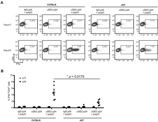 Figure 6. B cells play a role in amplifying antigen-specific CD4+ T-cell responses toward DEC-205–targeted antigen in vivo. (A) C57BL/6 mice or the B-cell deficient JHT mice were immunized with 5 μg of isotype control fusion mAb with 50 μg polyIC (IgG-p24 + polyIC), or αDEC-205 mAb conjugated with HIV gag p24 (αDEC-p24) without or with 50 μg polyIC (αDEC-p24 + polyIC) as adjuvant, and boosted 1 month later. The mice were killed a week after boost, bulk splenocytes were harvested, stimulated with either gag p24 peptides or gag p17 peptide mix, IFNγ production was evaluated by intracellular cytokine staining in the CD3+CD4+ gated cells. (B) As in panel A, mean ± SD from 2 independent experiments with 3 mice per group is shown. P value was calculated with 2-tailed Student t test.