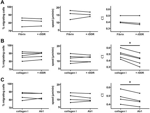 Figure 3. DDR2 regulates neutrophil directionality in 3D collagen matrices. (A) rDDR treatment does not affect neutrophil chemotaxis in a 3D fibrin gel. Human primary neutrophils were embedded in fibrin (pretreated with or without rDDR). Migration to 50nM IL-8 was recorded (images were taken every 30 seconds with a 5X objective). Migrating cells were tracked for 20 minutes. The percentage, average speed, and CI of migrating neutrophils were determined. Results are representative of 5 independent experiments. (B) rDDR treatment inhibits neutrophil directionality in a 3D collagen matrix. Human primary neutrophils were embedded in collagen I (pretreated with rDDR or not). Migration of neutrophils to 50nM IL-8 was recorded as in panel A. Results are representative of 5 independent experiments. *P = .03, Wilcoxon test. (C) DDR2 inhibition with Ab1 treatment reduces neutrophil directionality in a 3D collagen matrix. Human primary neutrophils were pretreated with blocking DDR2 antibodies or a control IgG for 30 minutes and embedded in collagen I. Migration of neutrophils to 50nM IL-8 was recorded as in panel A. Results are representative of 5 independent experiments. *P = .03, Wilcoxon test.