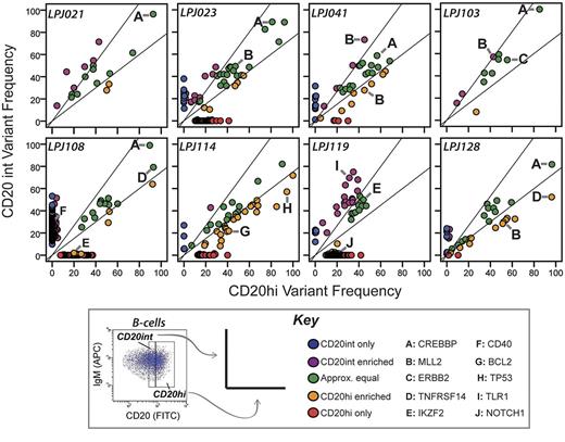 Figure 2. Intratumoral subpopulations are genetically divergent. Variant allele frequencies are compared between the CD20int (y-axis) and CD20hi (x-axis) intratumoral subpopulations. In most cases, only a minority of mutations are represented at approximately equal frequencies in each subpopulation (green dots). Many mutations comparably are enriched in either the CD20int (violet dots) or CD20hi (orange dots) subpopulation, or detected only in the CD20int (blue dots) or CD20hi (red dots) subpopulation. Mutations in selected genes of biologic interest are highlighted by letters A through J. Whereas CREBBP mutations (A) always appear in approximately equal frequencies in tumor cell subpopulations, MLL2 mutations are relatively enriched in 1 subpopulation in 3 of 4 tumors. Diagonal lines represent the threshold for 33% enrichment of variants in 1 subpopulation with reference to the alternate subpopulation (y = 1.33x and x = 1.33y), which allows 99% specificity for true subpopulation bias (supplemental Figure 1).