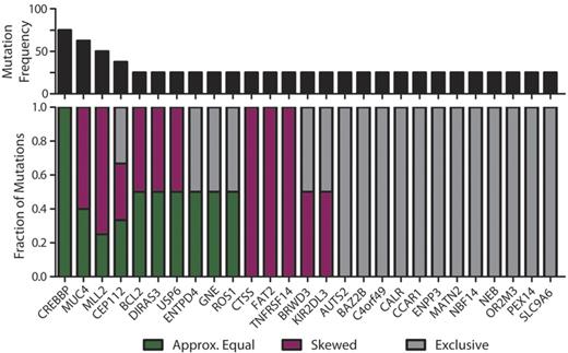 Figure 3. Subclonal representation of recurrent somatic mutations. Genes containing cSNVs in 2 or more diagnostic specimens within this study exhibit different patterns of representation between CD20int and CD20hi subpopulations. The top panel shows the recurrence frequency of mutations within each gene in our cohort. The bottom panel shows the fraction of those mutations that are represented approximately equally (≤ 33% deviation; green) between each subpopulation, those that show skewed representation (> 33% deviation; purple), and those that are identified exclusively in one subpopulation and not the other (gray). It can be seen that cSNVs in the majority of genes show skewed or unequal representation between tumor subpopulations, and CREBBP mutations are the only variants that are equally represented between subpopulations in all instances.