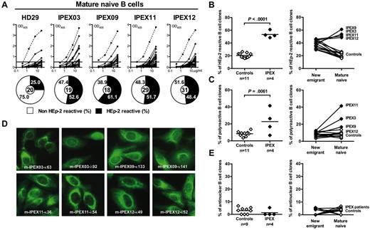 Figure 2. Defective peripheral B-cell tolerance checkpoint in IPEX patients. (A) Antibodies from mature naive B cells from a healthy donor and IPEX patients were tested by ELISA for anti-HEp-2 cell reactivity. Dotted lines show ED38-positive control and solid lines show binding for each cloned recombinant antibody. Horizontal lines define cutoff OD405 for positive reactivity. For each individual, the frequency of HEp-2–reactive (filled area) and non-HEp-2–reactive (open area) clones is summarized in pie charts, with the total number of clones tested indicated in the centers. The frequencies of (B) HEp-2–reactive and (C) polyreactive mature naive B cells in healthy controls and IPEX patients (left) and their evolution between the new emigrant/transitional and mature naive B-cell compartments (right) are shown. (D) Mature naive B-cell clones from IPEX patients show various patterns of cytoplasmic HEp-2 staining. (E) The frequency of antinuclear clones is low (left) and is not increased between the new emigrant/transitional and mature naive B-cell compartments (right).